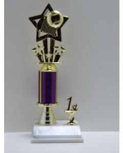 Star Trophy with Trim 12.5"